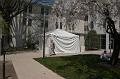 2005-04-18_DSC_3873