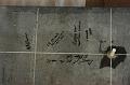 2003-09-08_DSC_4092