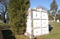 2003-11-14___DSC_5426