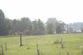 2004-06-09___DSC_8437