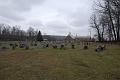2008-11-26_JAK_3742