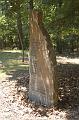 2005-06-25_DSC_5317